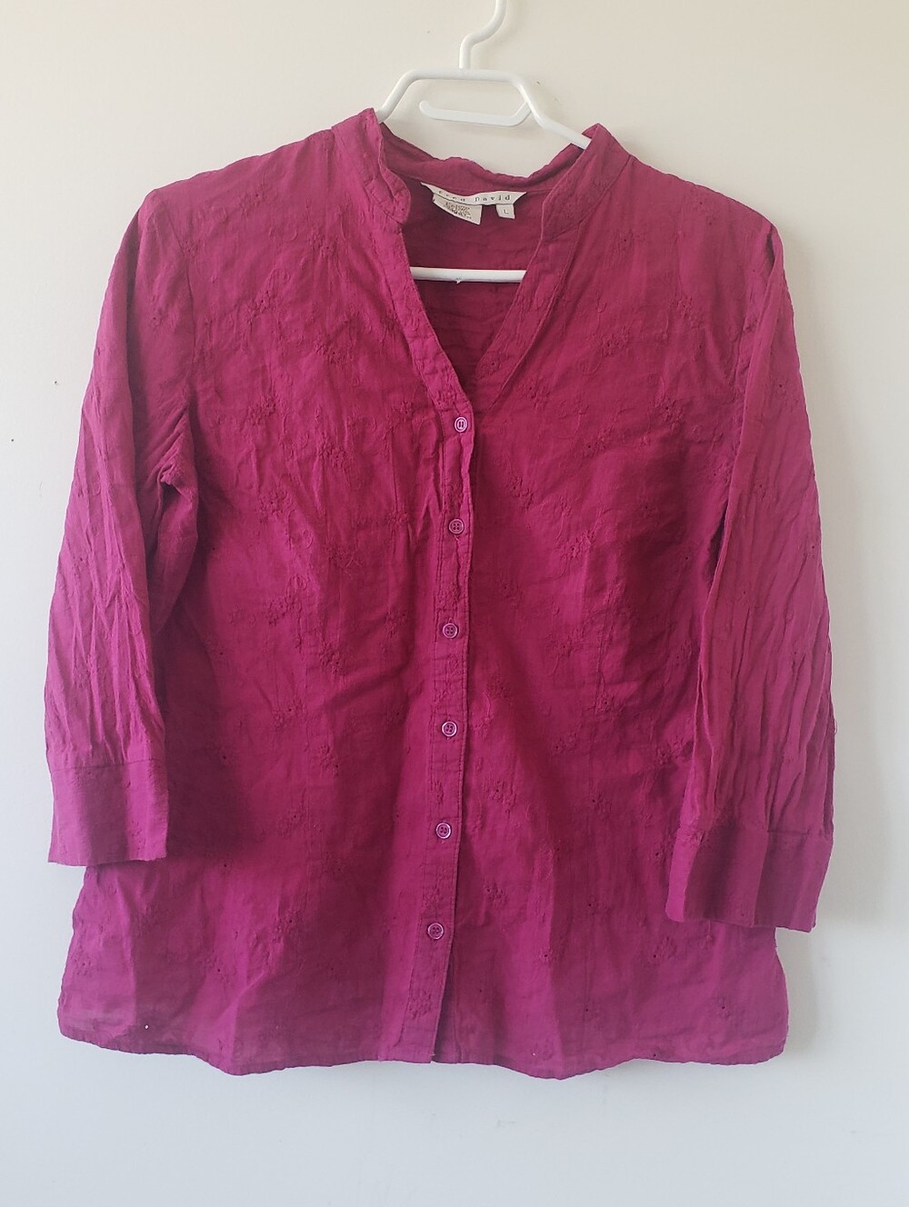 Embroidered Button-Front  Top/Blouse